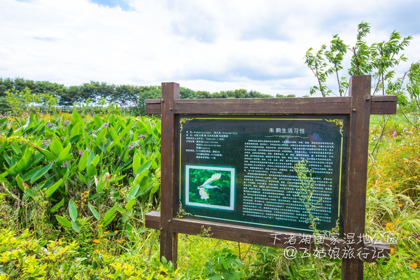 湖南省展览馆最新活动,湖南省展览馆最新活动盛况与精彩瞬间